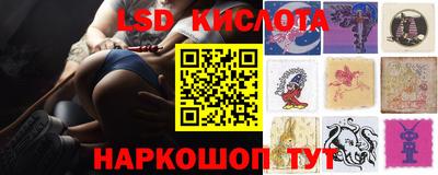 винт Новозыбков