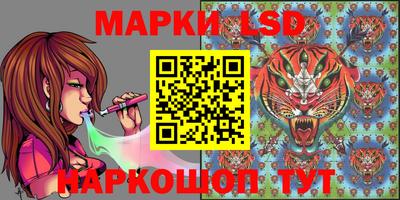 винт Новозыбков