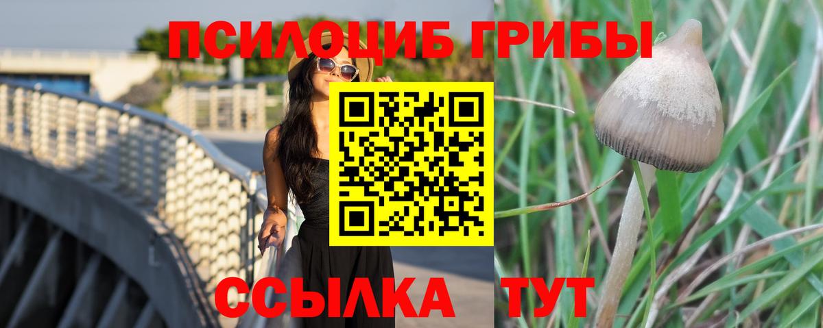Псилоцибиновые грибы MAGIC MUSHROOMS Тихвин