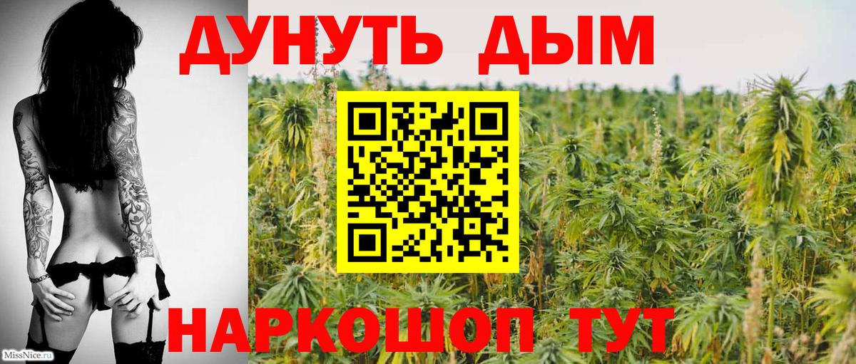Бошки марихуана гибрид Тихвин